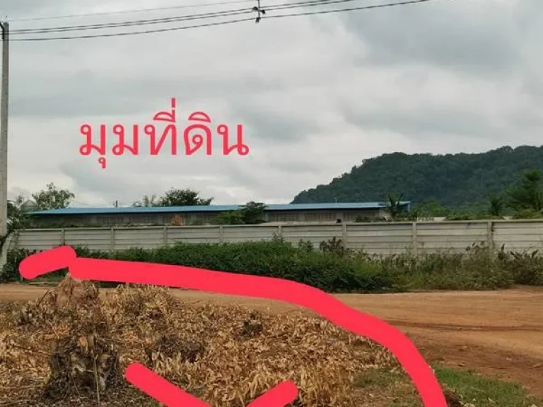 ขายที่ดิน 83 ไร่ โพธาราม จราชบุรี เหมาะสร้างฟาร์มสร้างโรงงานได้ เนื้อที่สวย ไม่ต้องถม เสมอถนน โทร