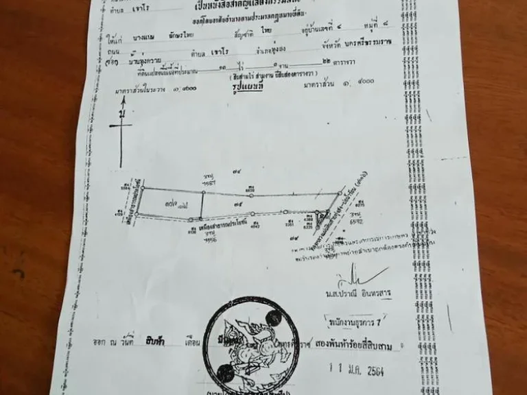 ขายที่ดินทุ่งสงนครศรีธรรมราช13 ไร่ 3 งาน 23 ตรว