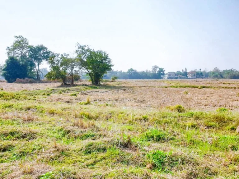 ราคาพิเศษ ที่ดิน ลำปาง ติดถนนซุปเปอร์ไฮเวย์ ลำปาง-เชียงใหม่