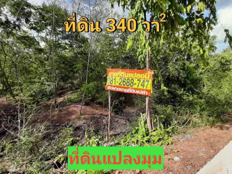 ขายที่ดินราษฎร์นิยม 340 ตารางวา แปลงมุม ติดถนนคอนกรีตสาธารณะ อไทรน้อย จนนทบุรี