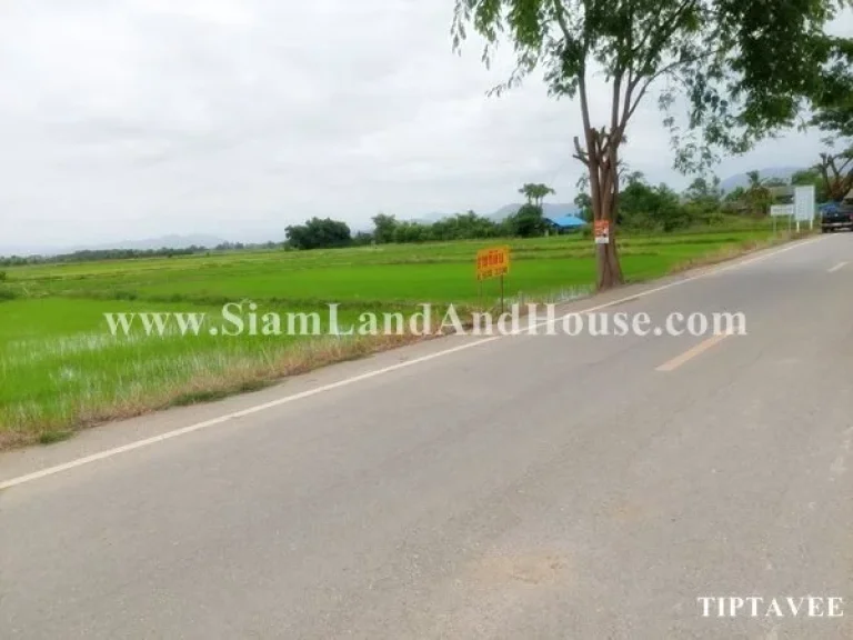 ขายที่ดินเชียงใหม่ บวกค้าง สันกำแพง เชียงใหม่ Sale Land Near Wat Rang Kongkhao Sankampheang Chiangmai THAILAND