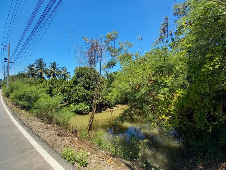 ขาย ที่ดินสวนชมพู่พันธ์ุทับทิมจันทน์ สามพราน นครปฐม