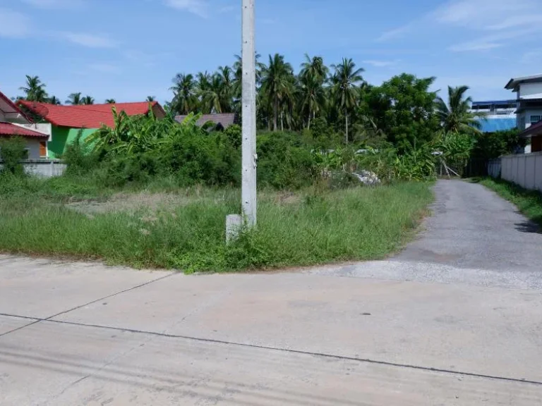 ี่ดินทำเลสวย ห่างถนนเส้นหลักสมุทรสงคราม-บางแพ เพียง 250 เมตร