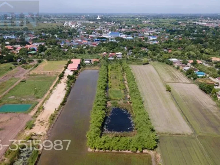 ขายที่ดินสวย บรรยากาศดี อำเภอพระนครศรีอยุธยาขายสวนไผ่ 8 ไร่ 1 งาน 17 ตรว