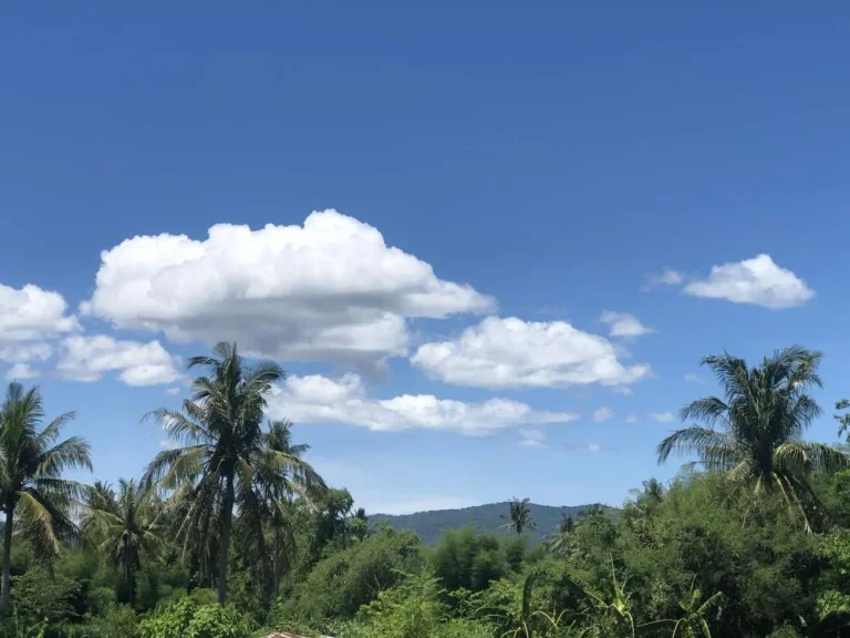 ที่ดิน วิวภูเขา ติดถนนคอนกรีต สวนเกษตร น้ำไฟฟ้าพร้อม