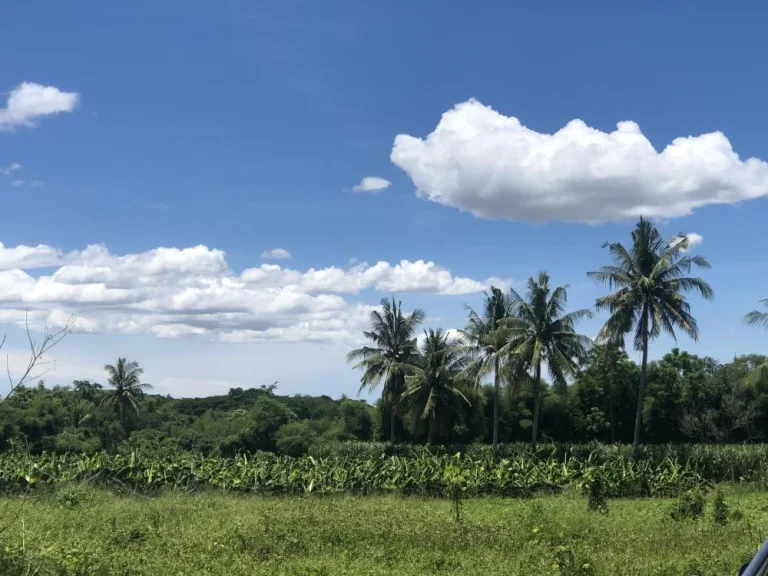 ที่ดิน วิวภูเขา ติดถนนคอนกรีต สวนเกษตร น้ำไฟฟ้าพร้อม