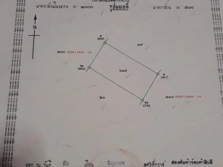 ที่สวย ทำเลดี 98 ตรว ใกล้ถนนไทรน้อย เหมาะทำห้องเช่า บ้าน ติดถนน 2 ด้าน