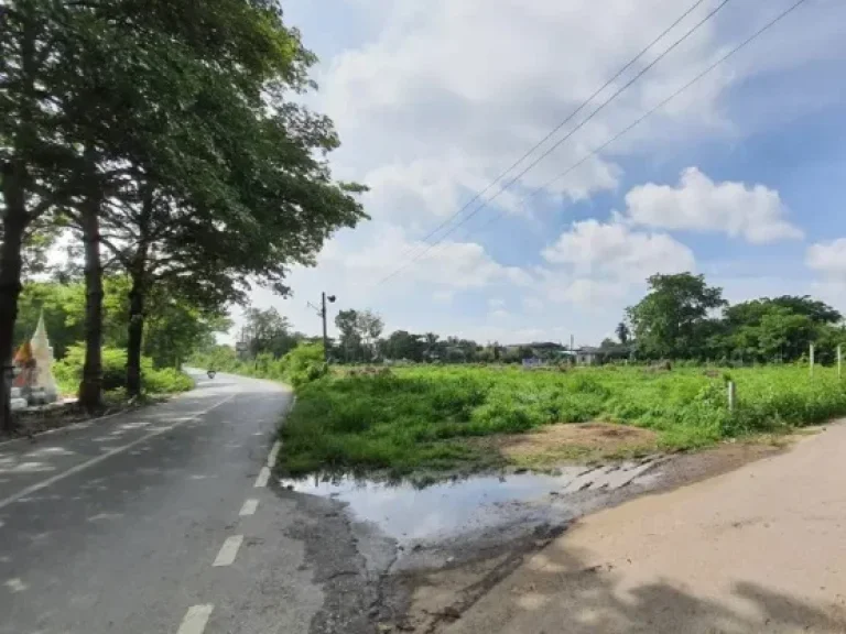 ขายด่วนที่ดิน ย่านวัดไร่เกาะต้นสำโรง ถ เสาหงษ์ ต พระประโทน อ เมือง จ นครปฐม BLYL0125