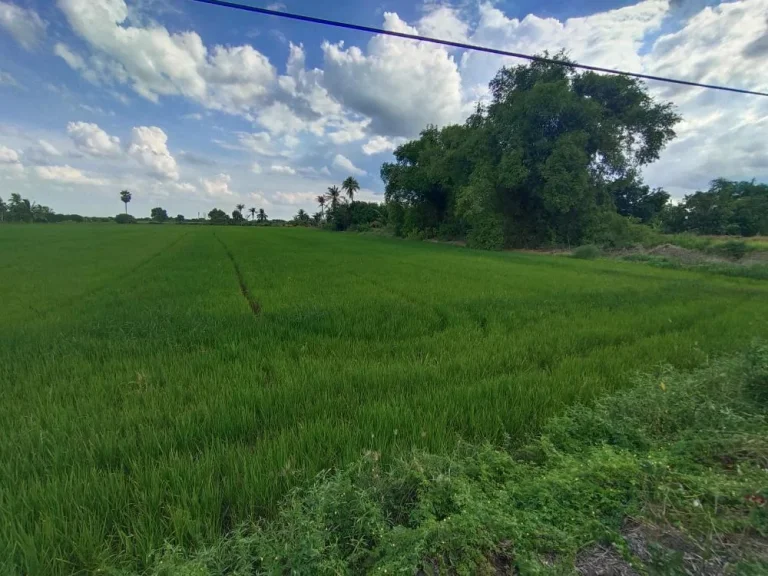 ขายที่ดินลาดหลุมแก้ว 4ไร่ ใกล้โรงเรียนคลองพระอุดม สถานที่ใกล้เคียง องค์การบริหารส่วนตำบลลาดหลุมแก้ว วัดลาดหลุมแก้ว วัดทองสะอาด ขาย 25 ล้าน 