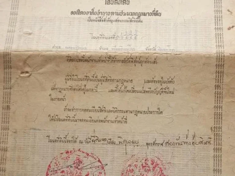 ขายที่ดินเปล่า 200 ตรว ถมแล้ว ตพลายชุมพล อเมือง จพิษณุโลก