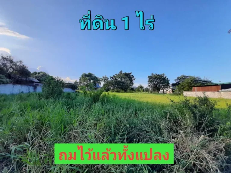 ที่ดินนครชัยศรี 1 ไร่ หมู่บ้านออมไทย ถนนปิ่นเกล้า-นครชัยศรี ตขุนแก้ว อนครชัยศรี จนครปฐม