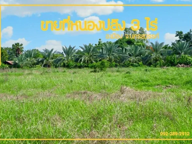 ขายที่ดินหนองปลิง ขายที่ดิน โฉนด อ เมืองนครสวรรค์ 3 ไร่