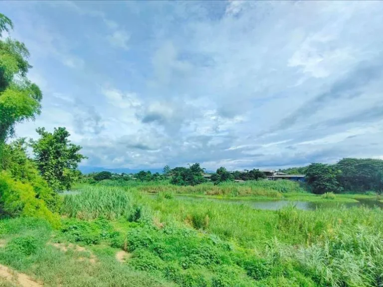 ขายที่ดินติดถนนติดริมน้ำ ป่าซาง ลำพูน พร้อมโอน ราคาถูก