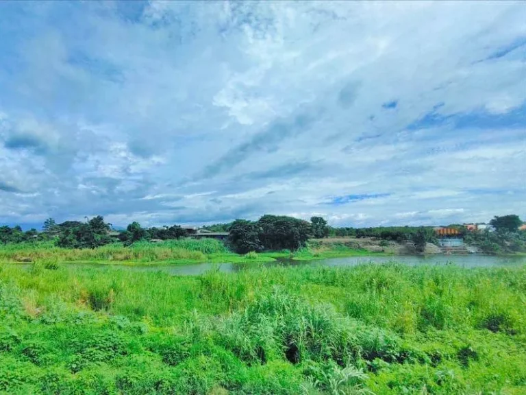 ขายที่ดินติดถนนติดริมน้ำ ป่าซาง ลำพูน พร้อมโอน ราคาถูก