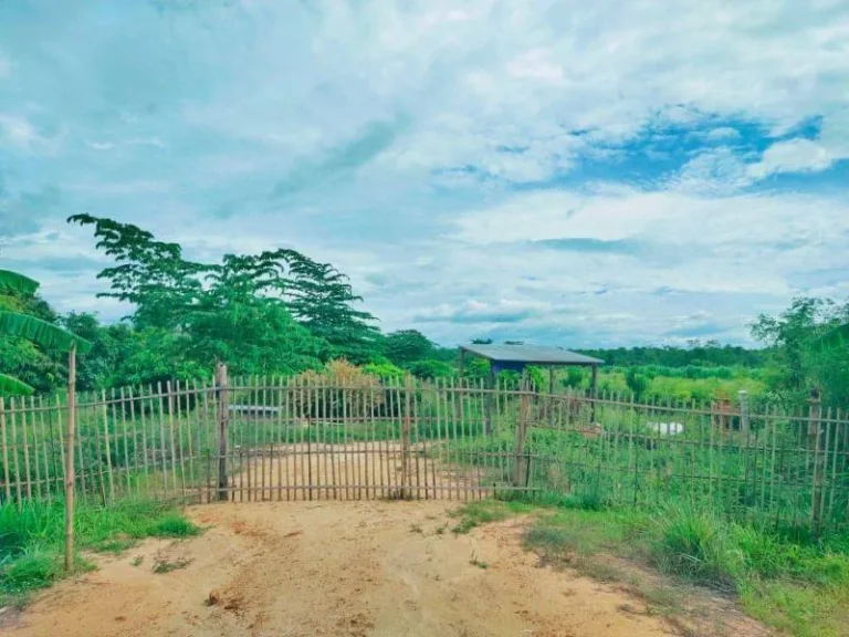 ขายที่ดินติดถนนติดริมน้ำ ป่าซาง ลำพูน พร้อมโอน ราคาถูก