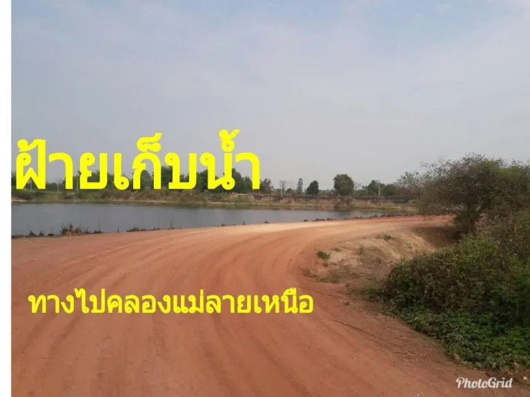 ขายที่ดิน 13ไร่ โฉนดไร่ละ 200000บาท ที่สวย ที่ราบ ไม่เนินชัน เหมาะแก่การ ทำการเกษตร ทำสวน ทำไร่หน้าติดทางสาธณารณะ ติดคลองสาธารณะ ไกล้อ่างเก็บน้ำ