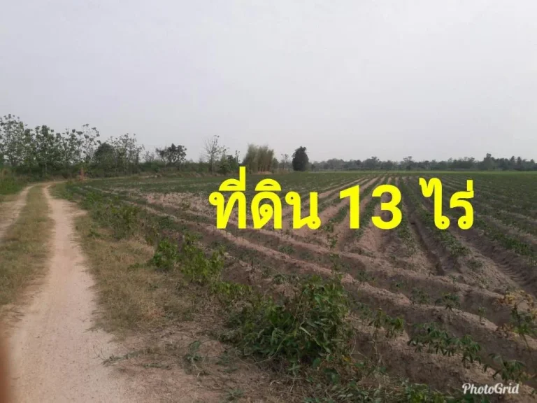 ขายที่ดิน 13ไร่ โฉนดไร่ละ 200000บาท ที่สวย ที่ราบ ไม่เนินชัน เหมาะแก่การ ทำการเกษตร ทำสวน ทำไร่หน้าติดทางสาธณารณะ ติดคลองสาธารณะ ไกล้อ่างเก็บน้ำ