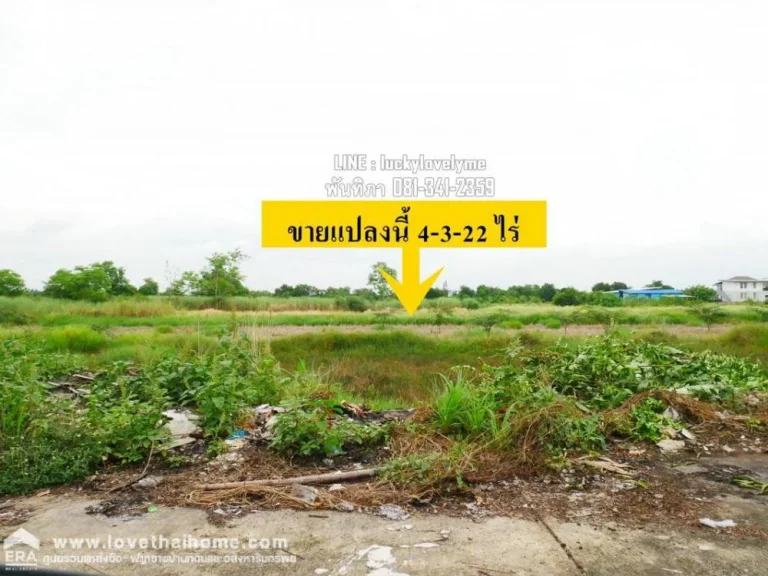 ขายถูกที่ดิน ถคลอง11-หนองเสือ ปทุมธานี ผังสีชมพู ใกล้วัดป่าคลอง11 วัดคำชะโนด2 พื้นที่4-3-22ไร่ หน้ากว้าง 27 ม ลึก 285 ม