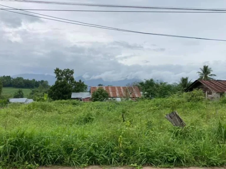 ที่ดินเปล่า ทำเลงาม วิวภูเขา พร้อมสร้างที่อยู่อาศัย บ้านใหม่สายรุ้ง อพบพระ จตาก