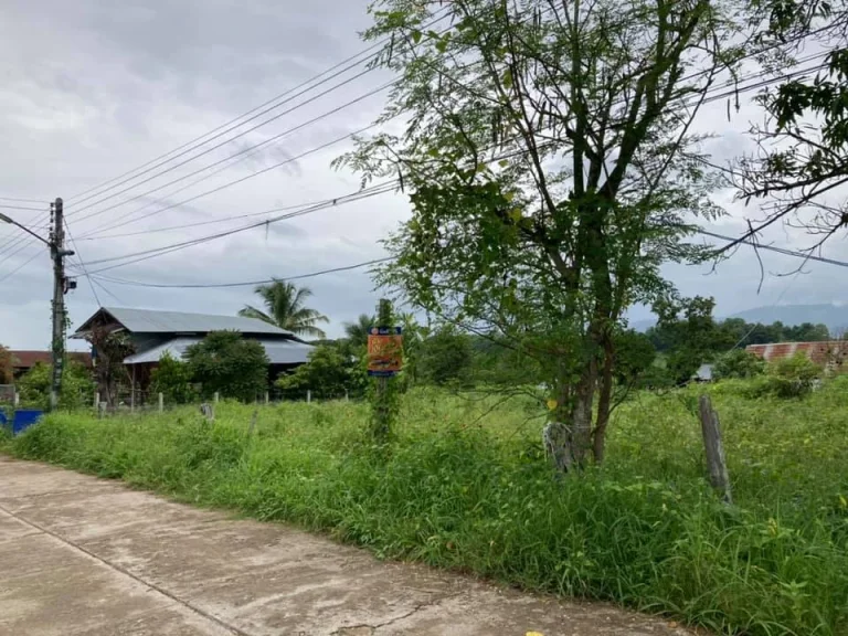 ที่ดินเปล่า ทำเลงาม วิวภูเขา พร้อมสร้างที่อยู่อาศัย บ้านใหม่สายรุ้ง อพบพระ จตาก