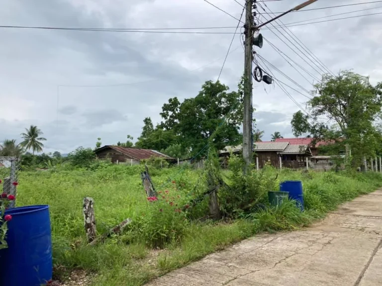 ที่ดินเปล่า ทำเลงาม วิวภูเขา พร้อมสร้างที่อยู่อาศัย บ้านใหม่สายรุ้ง อพบพระ จตาก