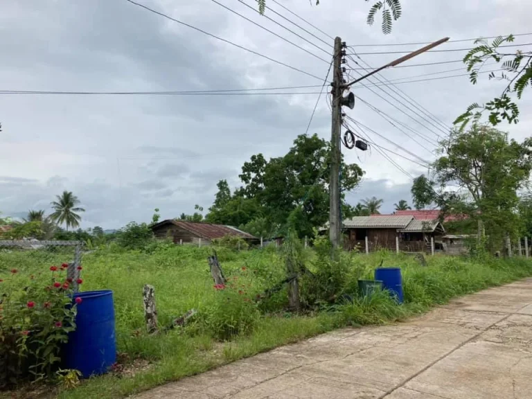 ที่ดินเปล่า ทำเลงาม วิวภูเขา พร้อมสร้างที่อยู่อาศัย บ้านใหม่สายรุ้ง อพบพระ จตาก