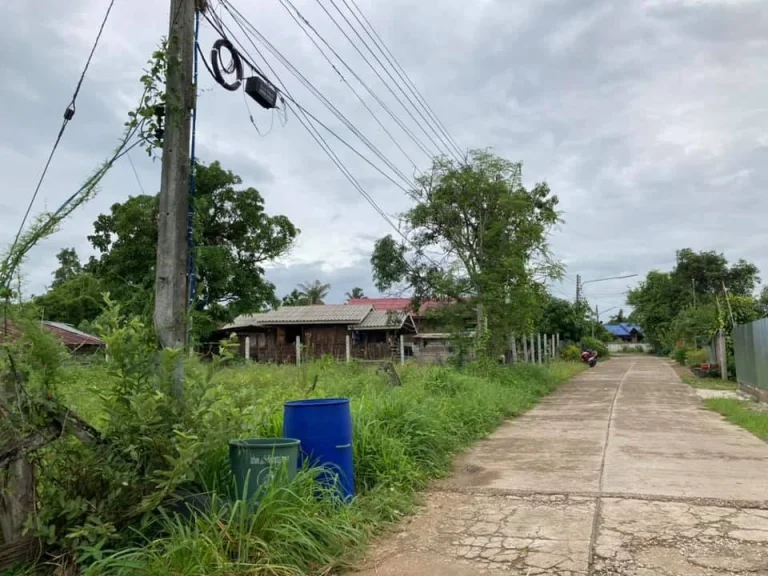 ที่ดินเปล่า ทำเลงาม วิวภูเขา พร้อมสร้างที่อยู่อาศัย บ้านใหม่สายรุ้ง อพบพระ จตาก