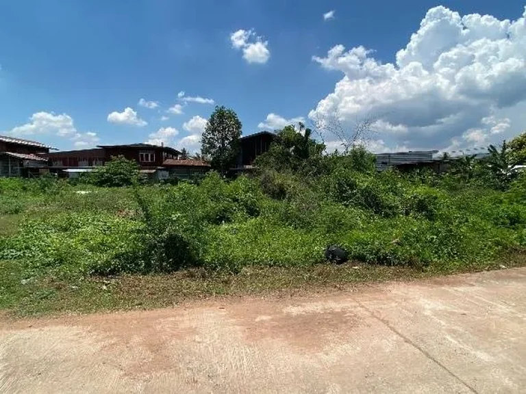 ขายที่ดิน ติดถนนหลวง ชุมแพ-หนองบัวลำภู จังหวัดขอนแก่น เหมาะสำหรับจัดสรรที่ดิน