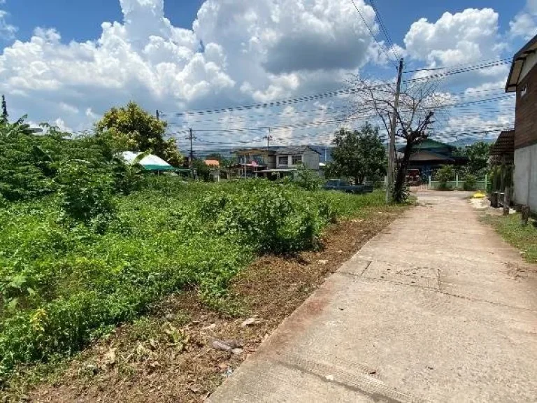 ขายที่ดิน ติดถนนหลวง ชุมแพ-หนองบัวลำภู จังหวัดขอนแก่น เหมาะสำหรับจัดสรรที่ดิน