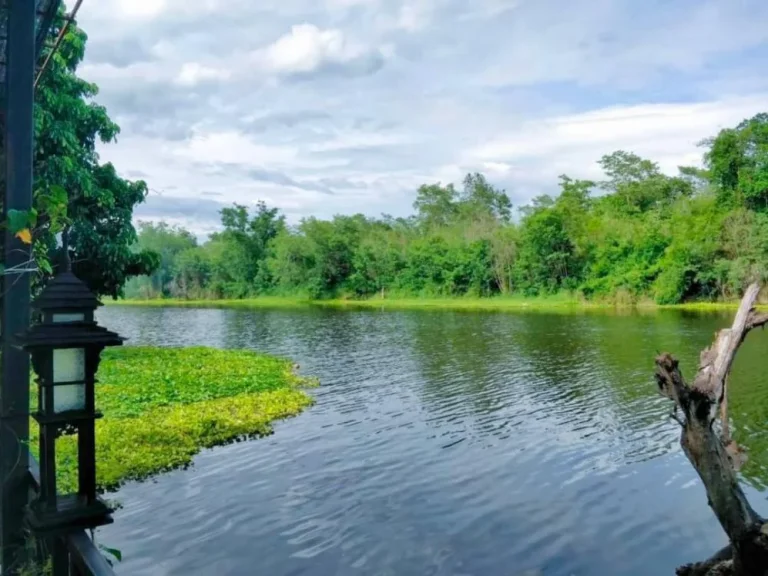 ขายที่ดินติดน้ำ เวียงหนองล่อง ลำพูน ท่ามกลางวิวภูเขาราคาถูก