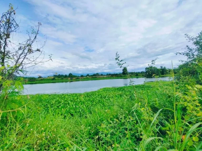 ขายที่ดินติดถนนติดแม่น้ำ บ้านน้ำดิบป่าซาง ลำพูนโฉนดพร้อมโอน