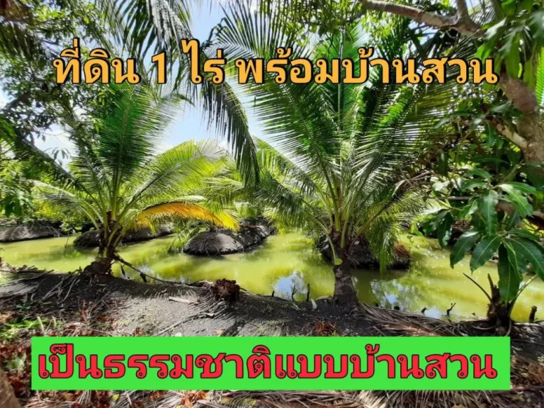 ขายที่ดินดำเนินสะดวก 1 ไร่ พร้อมบ้าน บรรยากาศบ้านสวน ตำบล ประสาทสิทธิ์ จราชบุรี