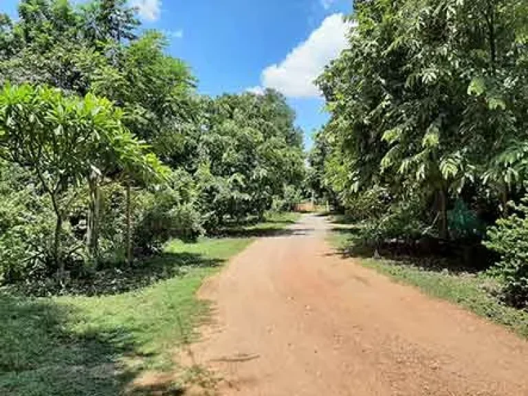 ขายที่ดินพร้อมบ้านเหมาะทำเกษตร โฮมสเตย์ ศรีประจันต์