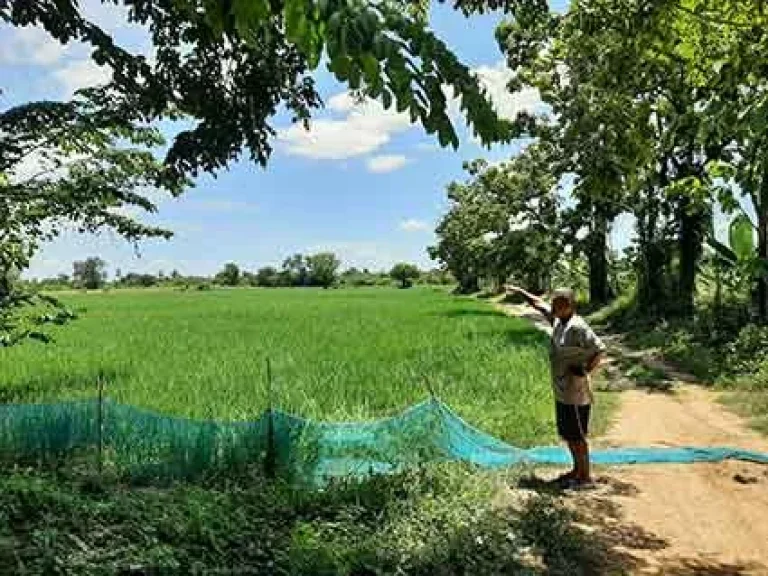 ขายที่ดินพร้อมบ้านเหมาะทำเกษตร โฮมสเตย์ ศรีประจันต์