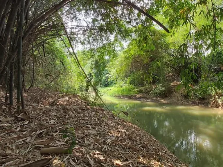 ที่ดินโฉนดติดคลองน้ำลำตะคอง 6ไร่ 15ล้านบาท เหมาะทำคาเฟ่ริมน้ำ