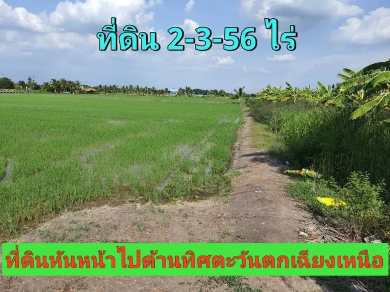 ขายที่ดินไทรน้อย 2-3-56 ไร่ ติดถนนคอนกรีตสาธารณะ ตขุนศรี จนนทบุรี