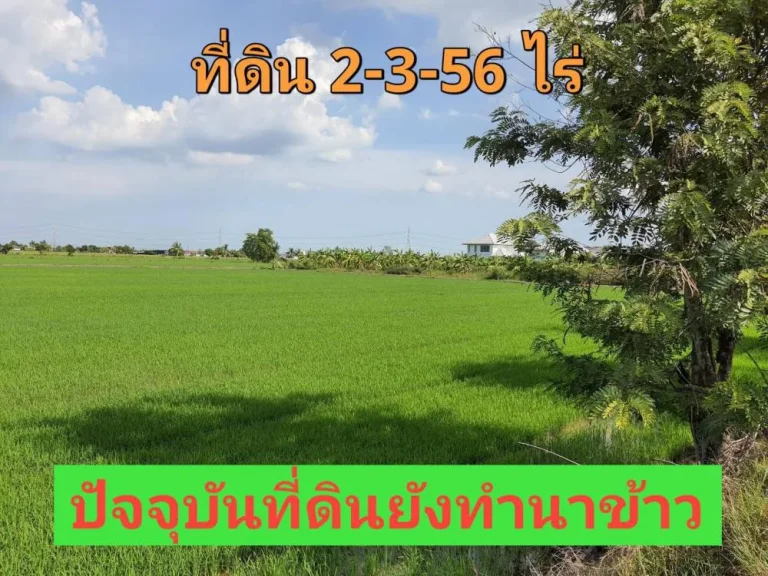 ขายที่ดินไทรน้อย 2-3-56 ไร่ ติดถนนคอนกรีตสาธารณะ ตขุนศรี จนนทบุรี