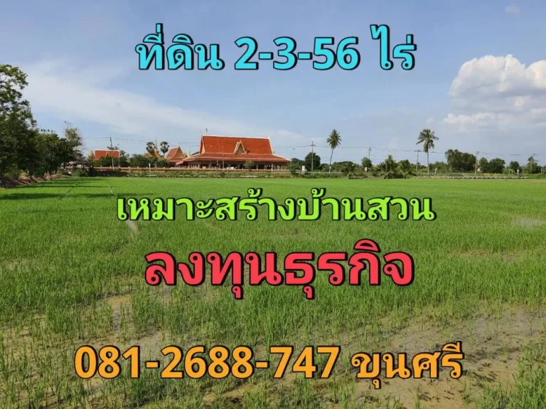 ขายที่ดินไทรน้อย 2-3-56 ไร่ ติดถนนคอนกรีตสาธารณะ ตขุนศรี จนนทบุรี