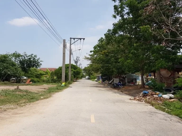 ที่ดินเปล่า 100 ตรว ซพรหมเมือง ถบางกรวย-ไทรน้อย จนนทบุรี