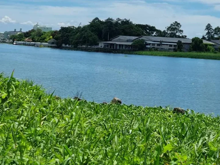 ที่ดินติดแม่น้ำเจ้าพระยา 8ไร่1งาน หน้ากว้าง89 เมตร ปากเกร็ด จังหวัดนนทบุรี เคยเป็นคลังสินค้า เก่า มีใบอนุญาตท่าเทียบเรือจากกรมเจ้าท่า