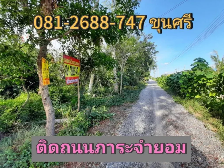 หลุดจอง ที่ดิน 1 ไร่ พร้อมบ้านปูนชั้นเดียว 1 หลัง ใกล้อนามัยวัดราษฎร์นิยม อไทรน้อย จนนทบุรี