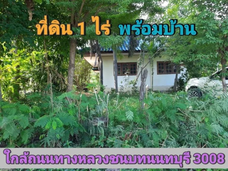 หลุดจอง ที่ดิน 1 ไร่ พร้อมบ้านปูนชั้นเดียว 1 หลัง ใกล้อนามัยวัดราษฎร์นิยม อไทรน้อย จนนทบุรี