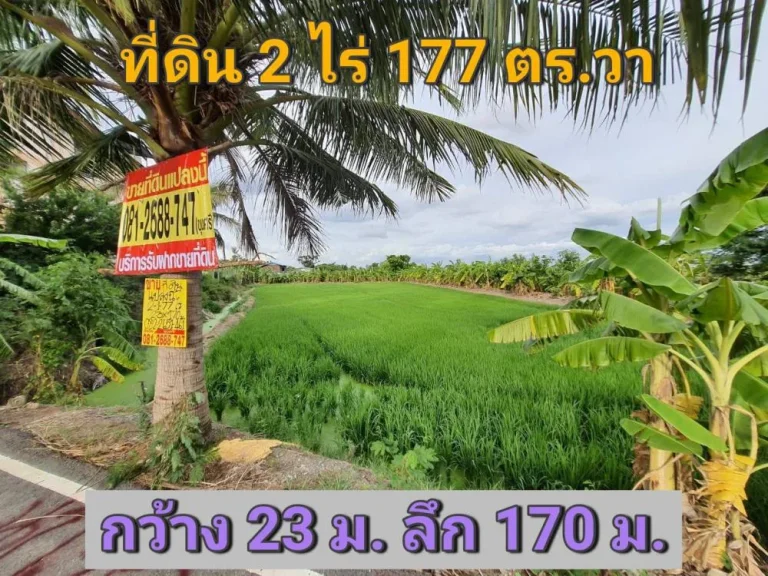 ขายที่ดินติดคลองบางคูลัด 2 ไร่ 1 งาน 77 ตารางวา ตำบลบางแม่นาง อบางใหญ่ จนนทบุรี