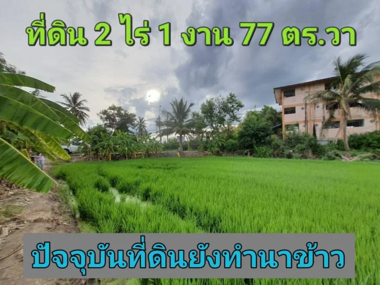 ขายที่ดินติดคลองบางคูลัด 2 ไร่ 1 งาน 77 ตารางวา ตำบลบางแม่นาง อบางใหญ่ จนนทบุรี