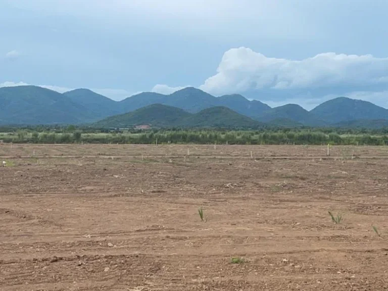 ที่ดินแบ่งขาย ตไร่ใหม่พัฒนา อชะอำ จเพชรบุรี 