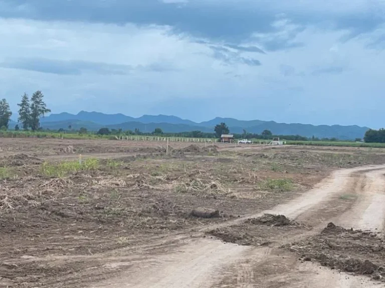 ที่ดินแบ่งขาย ตไร่ใหม่พัฒนา อชะอำ จเพชรบุรี 