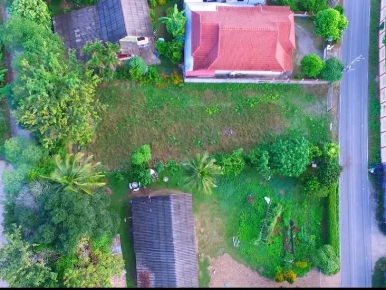 ขายที่ดินแปลงสวยถมแล้ว บรรยากาศดี ร่มรื่น อยู่ในชุมชน เดินทางสะดวกเชื่อมต่อ ถนนสายแม่ริม-แม่แตง และถนนสายแม่โจ้-พร้าว