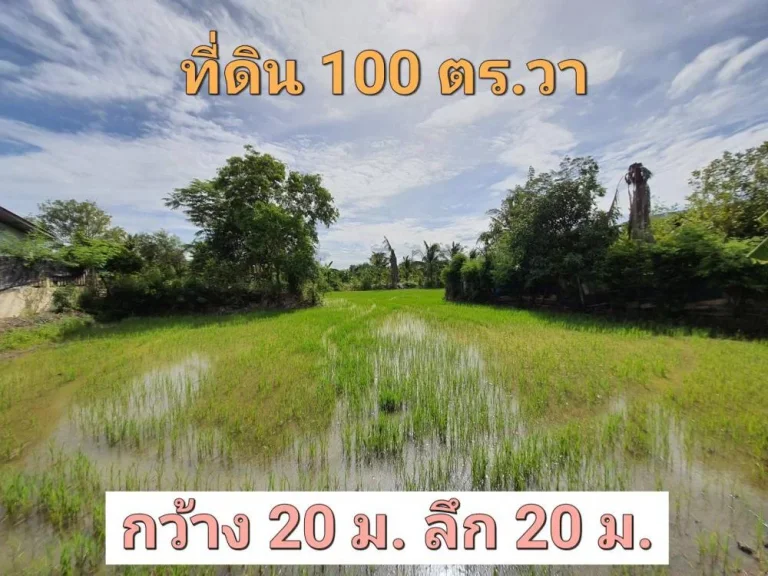 ขายที่ดินศาลายา 100 ตารางวา ซอยศาลายา27 ถนนดาวทอง อพุทธมณฑล จนครปฐม