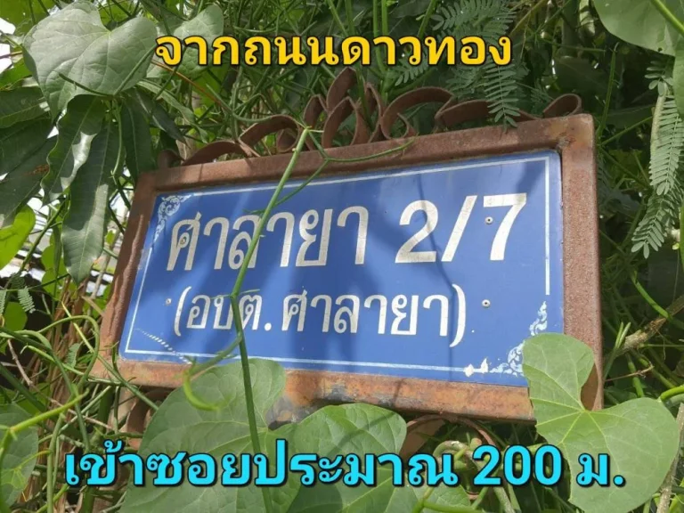 ขายที่ดินศาลายา 100 ตารางวา ซอยศาลายา27 ถนนดาวทอง อพุทธมณฑล จนครปฐม