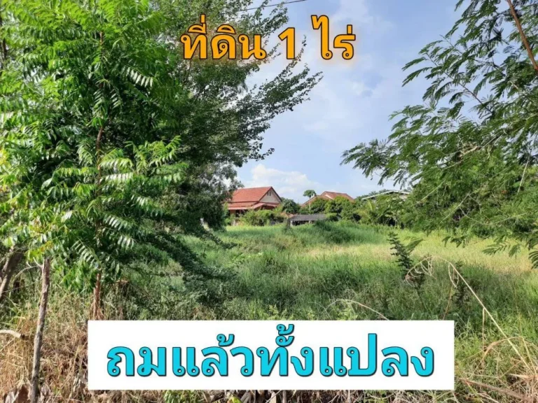 ขายที่ดินหนองเพรางาย 1ไร่ ซอยเคหะ-บ้านใหม่ 43 ติดถนนคอนกรีต อไทรน้อย จนนทบุรี